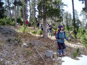 photo coins arrondis